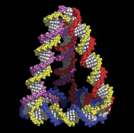 A DNA tetrahedron